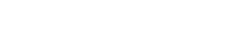 Flite Logo